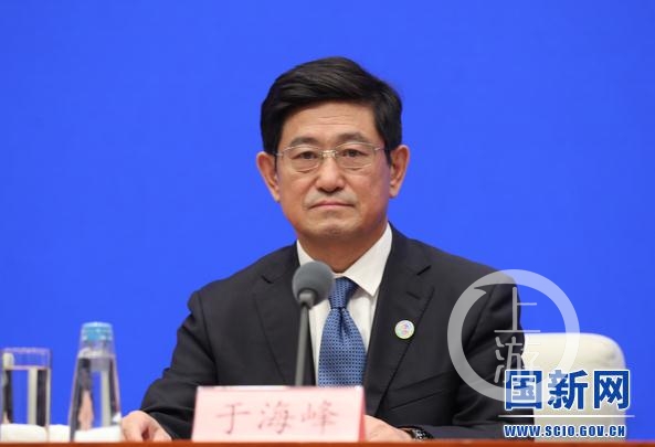 自然资源部地质勘查管理司司长于海峰.图片来源/国新网