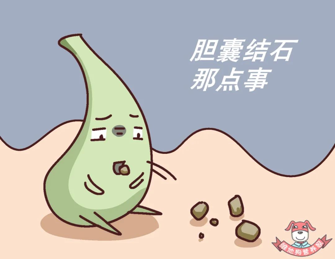 这些饮食习惯原来暗藏危机!|胆结石|结石|肾结石_新浪新闻