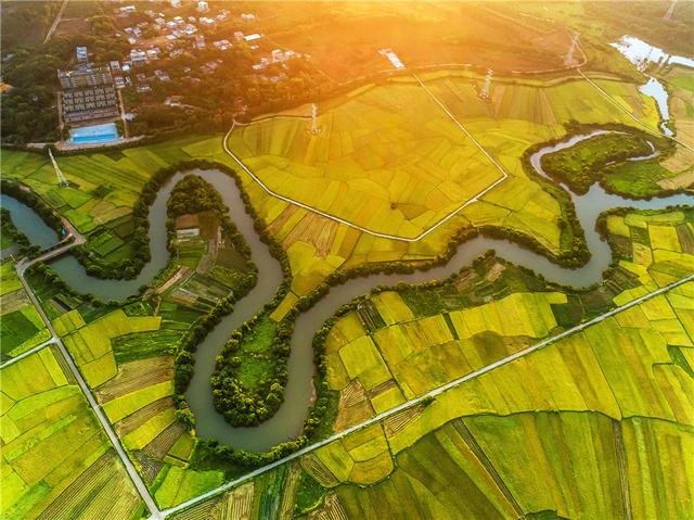 海口市云龙镇三十六曲溪的稻田收割了