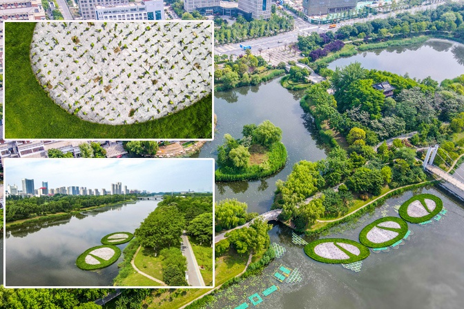 宿迁:生态浮岛净水"靓"城|生态浮岛|陈少帅|古黄河_新浪新闻