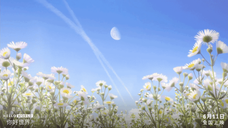 动态网站后台数据库