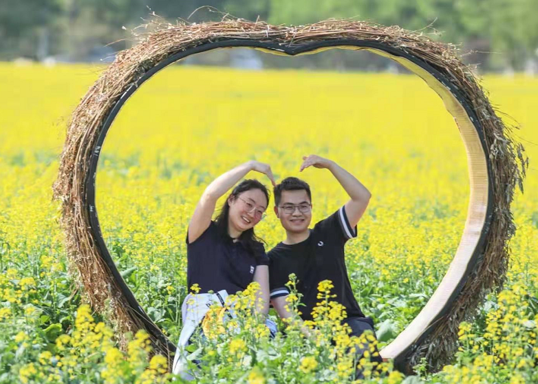 北京这处油菜花海,坐地铁就能去看|花海|北京市|婺源_新浪新闻