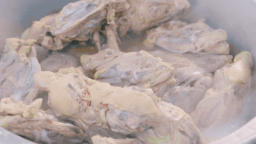 没有一只鸡，能活着走出沈阳休闲区蓝鸢梦想 - Www.slyday.coM