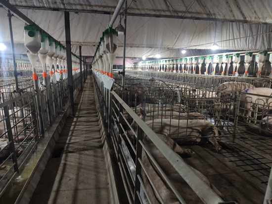  配怀舍。 受访者供图