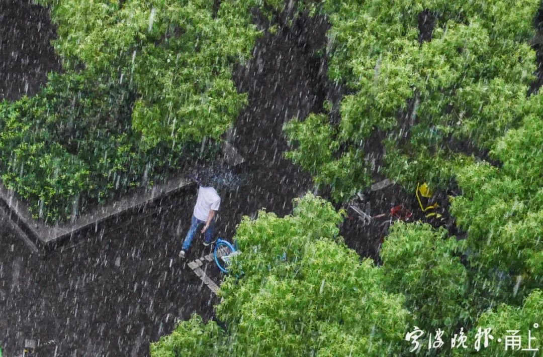 大雨暴雨宁波人下班赶紧回家