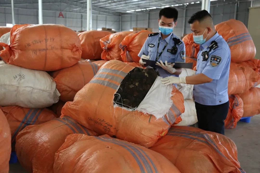 蛇皮袋成堆南宁海关查获318吨头发系走私入境