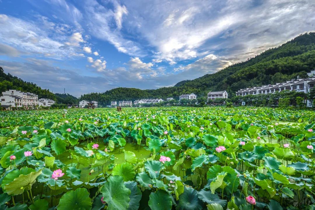 莲都发放首笔"gep"贷 6亿元!