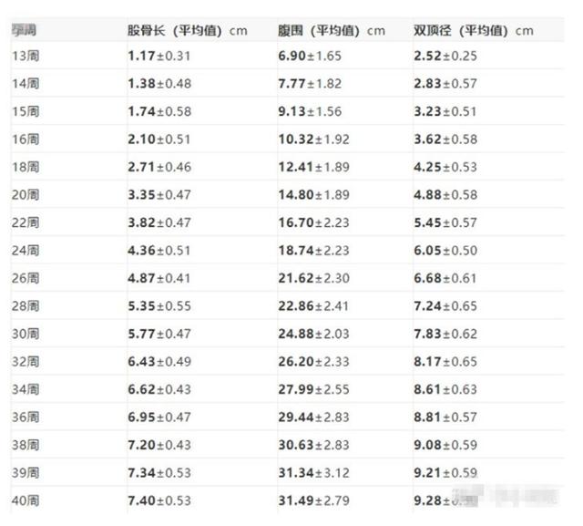 孕13周:股骨长在1.17±0.31厘米;14-16周:股骨长在1.38±0.48-3.