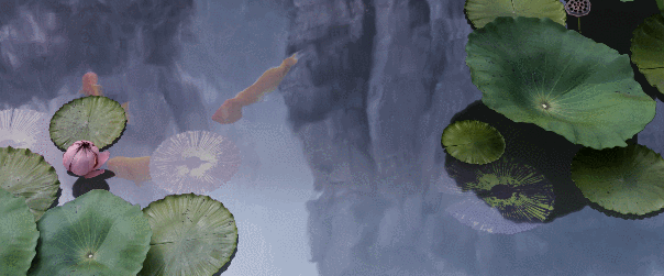 604_251gif 动态图 动图