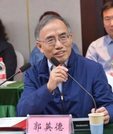 一流大学教授,全职加盟"双非"|河北大学|郭英德|北京师范大学_新浪