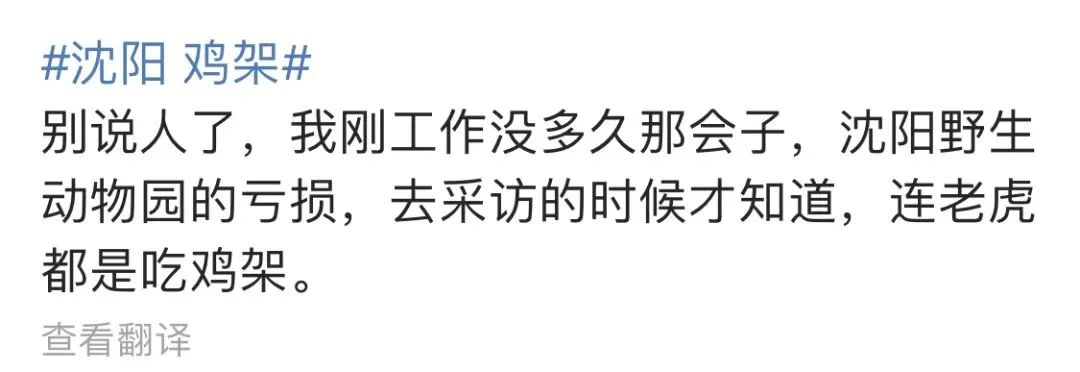 没有一只鸡，能活着走出沈阳休闲区蓝鸢梦想 - Www.slyday.coM