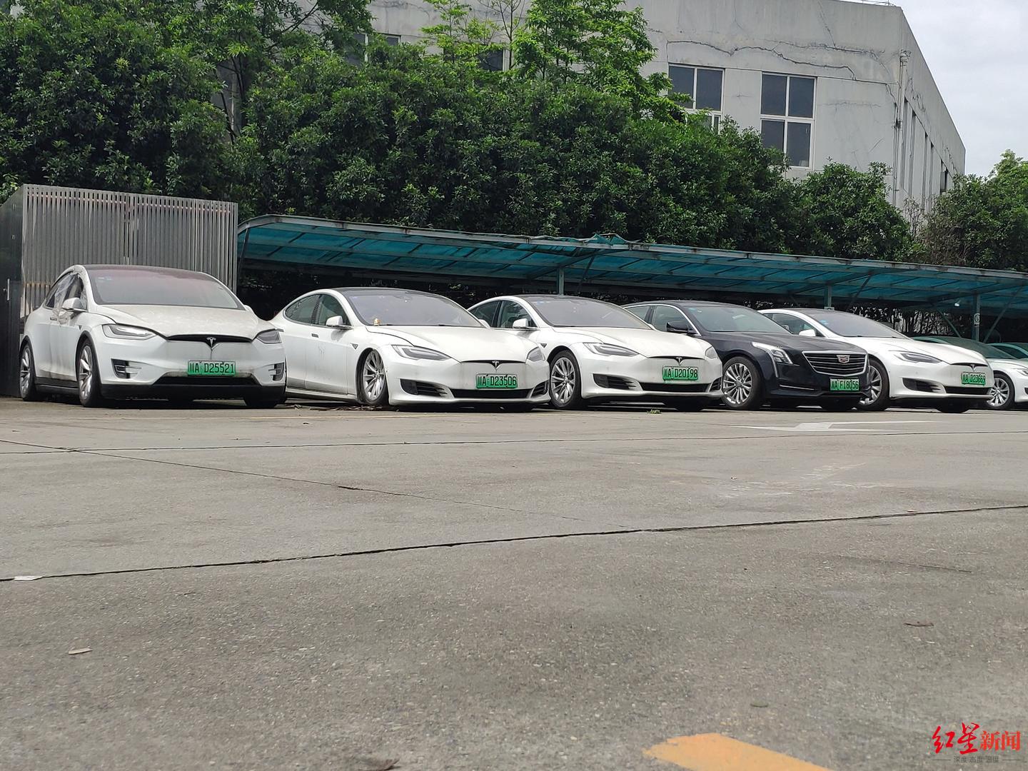 大量特斯拉现身停车场停摆神马出行成都分公司确系出现故障待修的