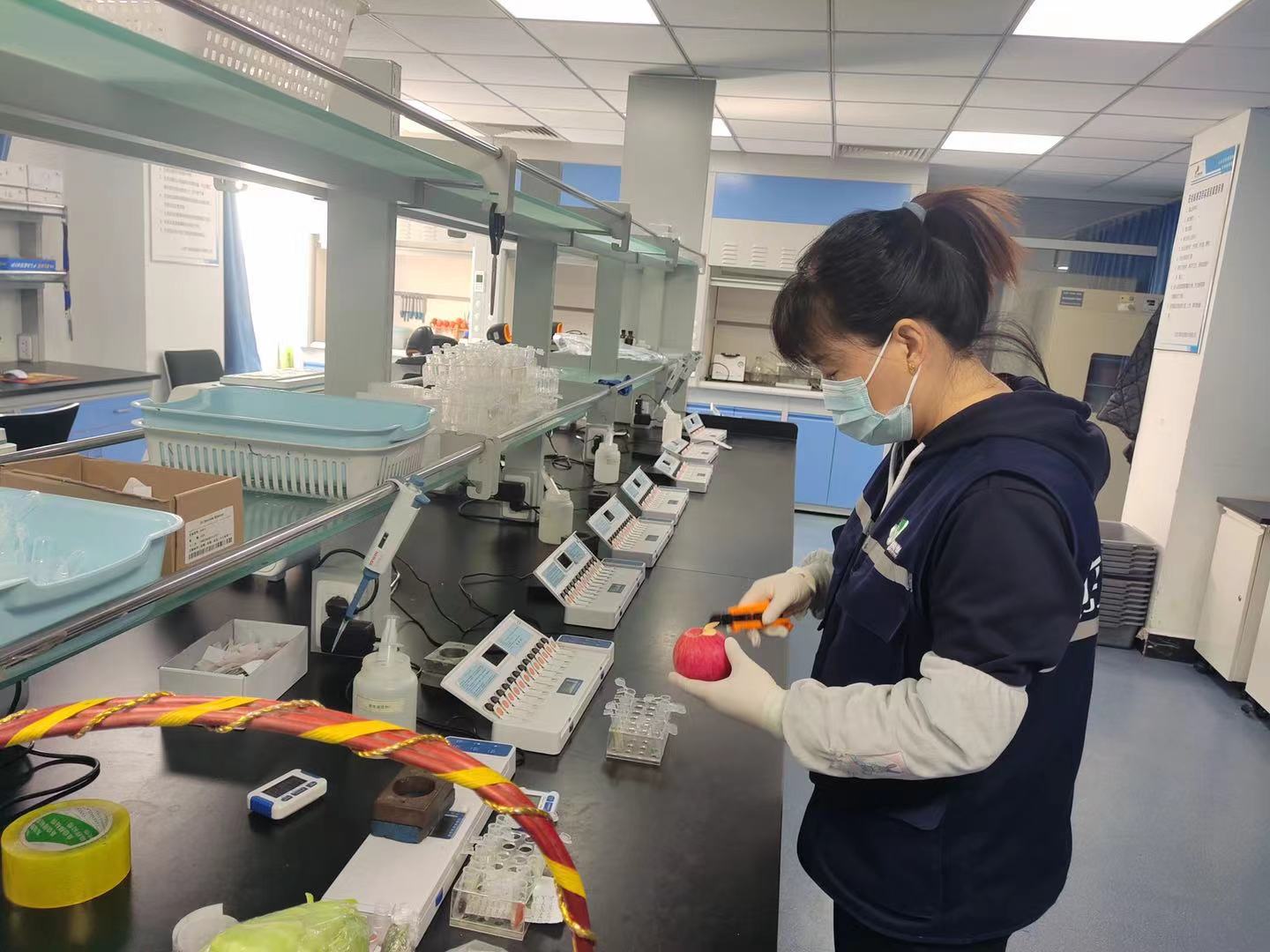 而新发地农产品市场检验检测中心里,工作人员依旧在和蔬菜水果做"斗争