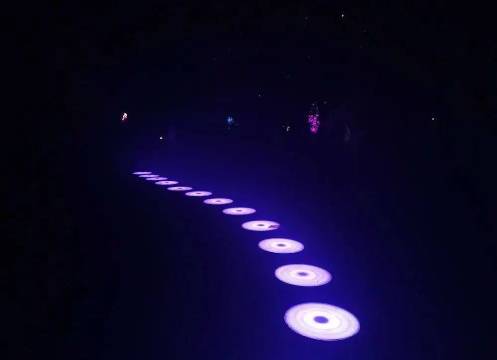 家门口人均40元的遛娃圣地！五一假期带着家人来场说走就走的旅行！嗨翻天！休闲区蓝鸢梦想 - Www.slyday.coM