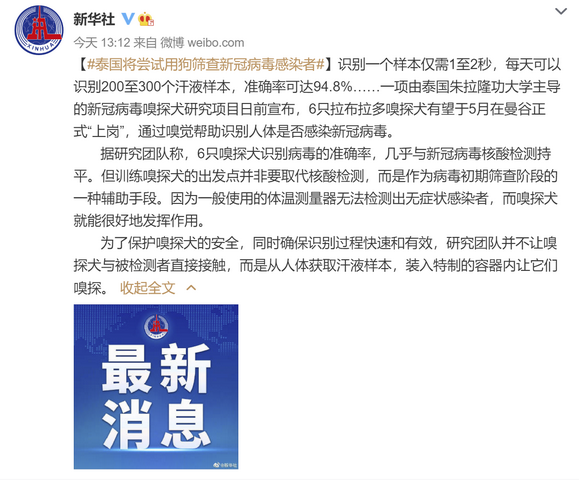 用狗筛查新冠病毒感染者，准确率可达94.8%？泰国宣布6只拉布拉多将正式“上岗”休闲区蓝鸢梦想 - Www.slyday.coM