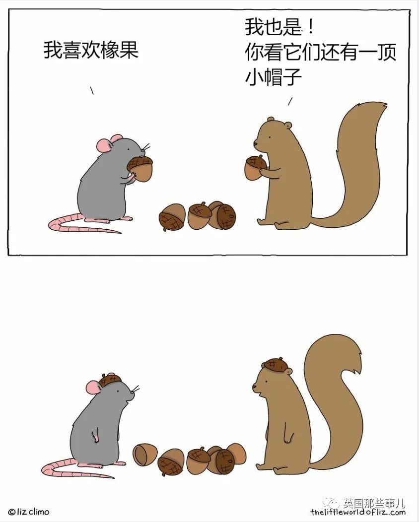 如果小动物会说话他们都在聊什么这个漫画家脑洞好治愈