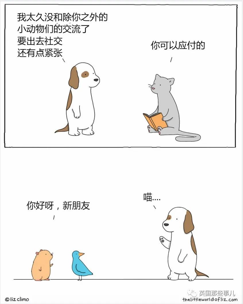 如果小动物会说话他们都在聊什么这个漫画家脑洞好治愈