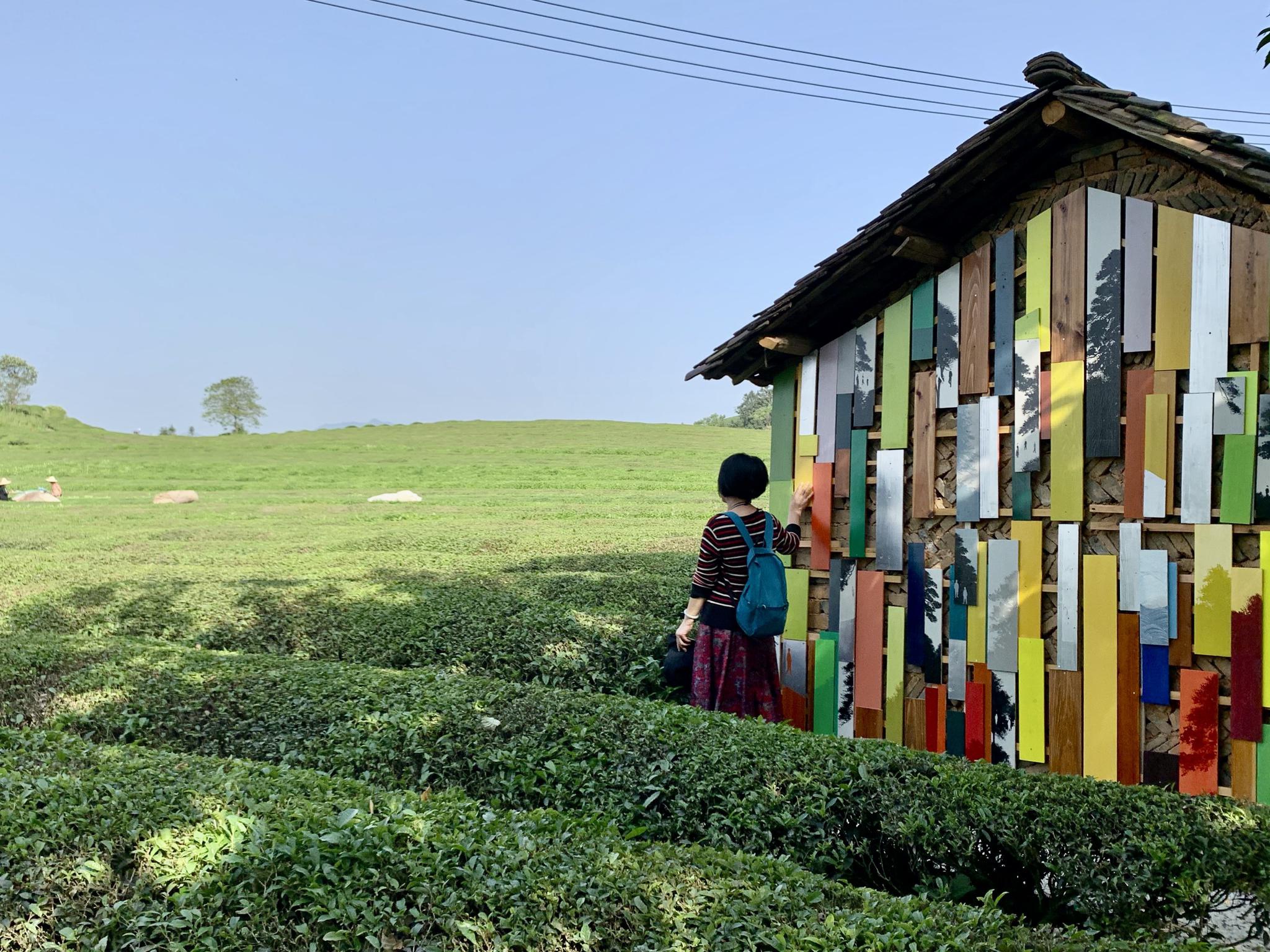 艺术在浮梁2021开幕在绵延茶山看有温度的艺术风景