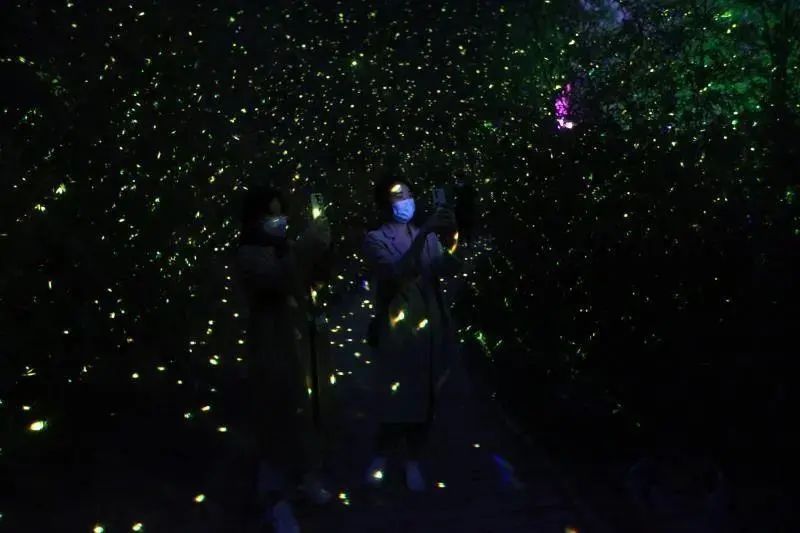 家门口人均40元的遛娃圣地！五一假期带着家人来场说走就走的旅行！嗨翻天！休闲区蓝鸢梦想 - Www.slyday.coM