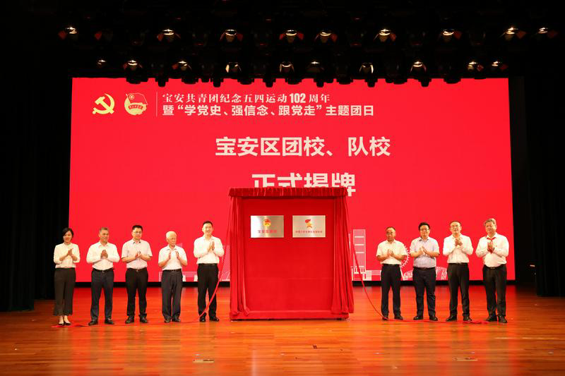 深圳宝安共青团开展学党史强信念跟党走主题团日