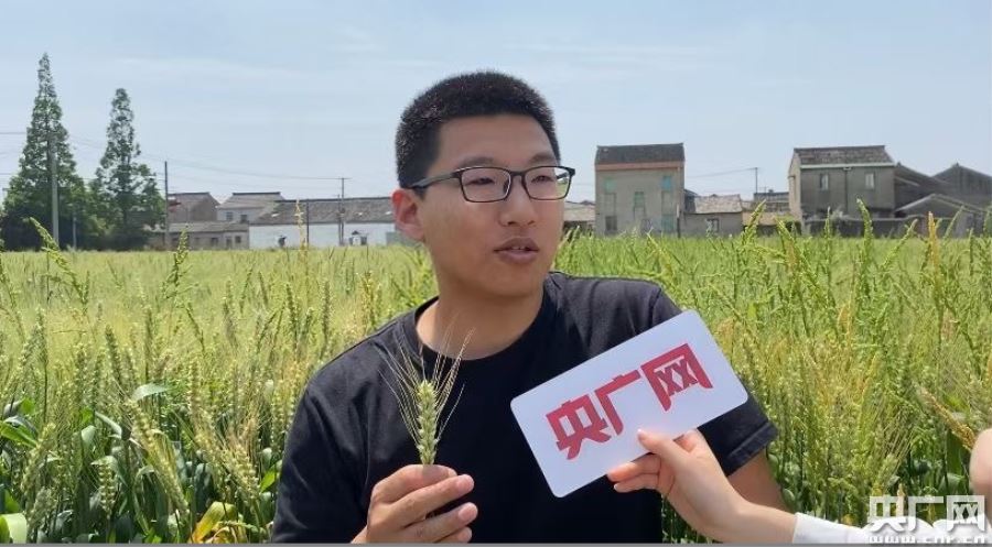 【你的样子】“90后”新型职业农民汪琰斌:让青年做乡村振兴的“生力军”|农民|乡村振兴|新型职业农民_新浪新闻