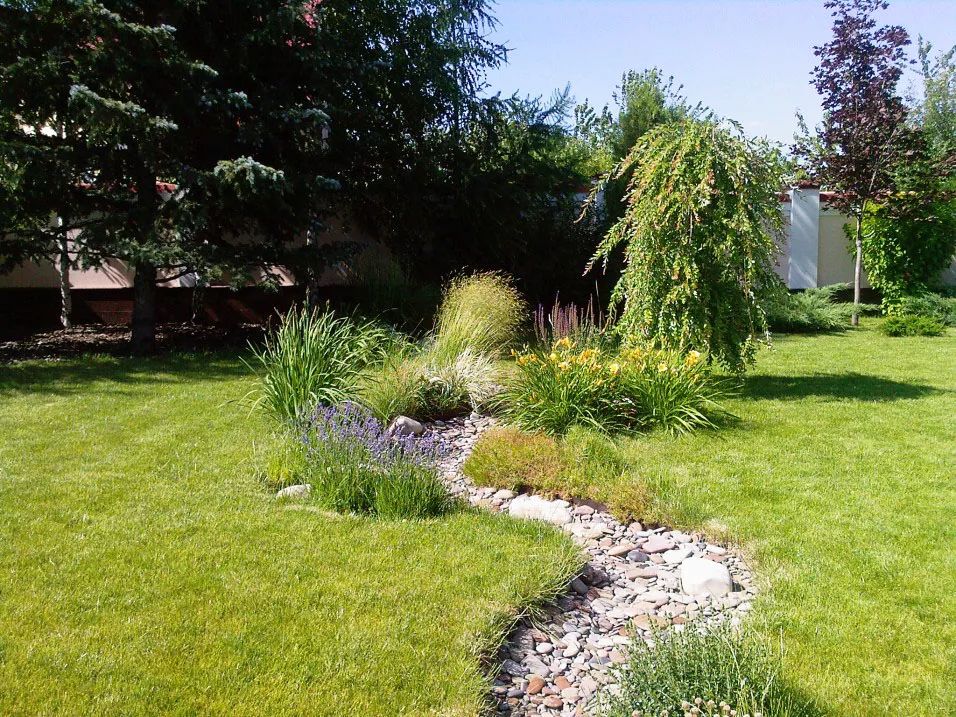 如何在自家院子打造旱溪看看老外是怎么做的