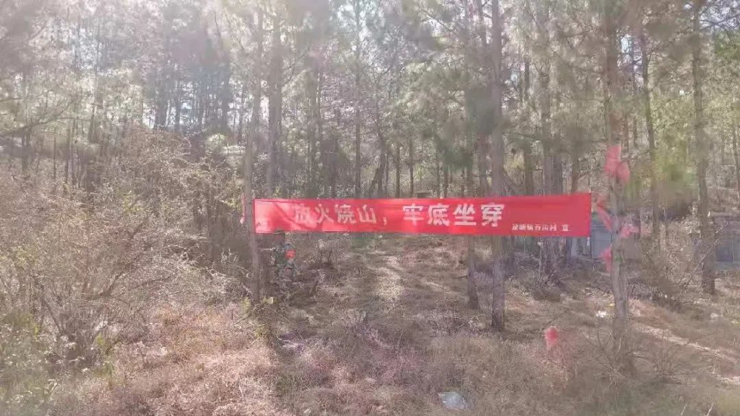 寻找"最牛"凉山森林草原防灭火宣传标语大赛今天开始投票啦!
