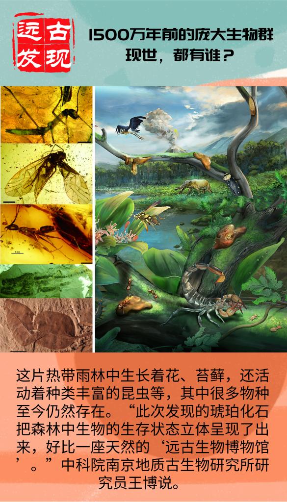 科学家发现1500万年前的化石宝库