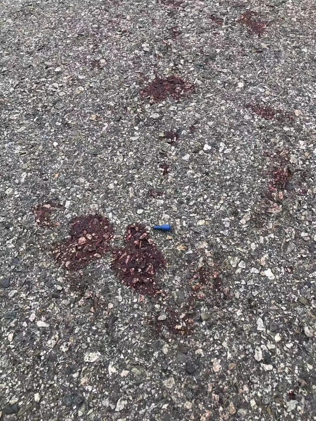 案发现场地上的血迹清晰可见.侨报记者高睿摄