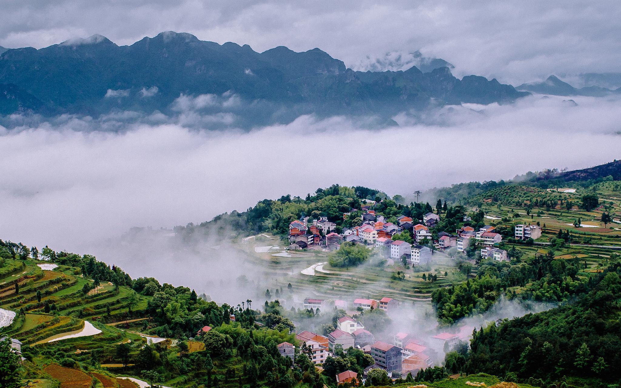 之江观察丨这"美丽",既要好看又要好用|生态环境|浙江省_新浪新闻