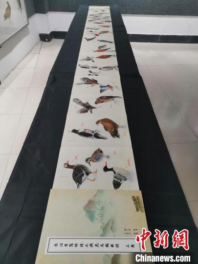 《长江生态保护之濒危鸟类图解（上卷）》是王东云历时7个多月完成的工笔科普插画作品。　受访者供图