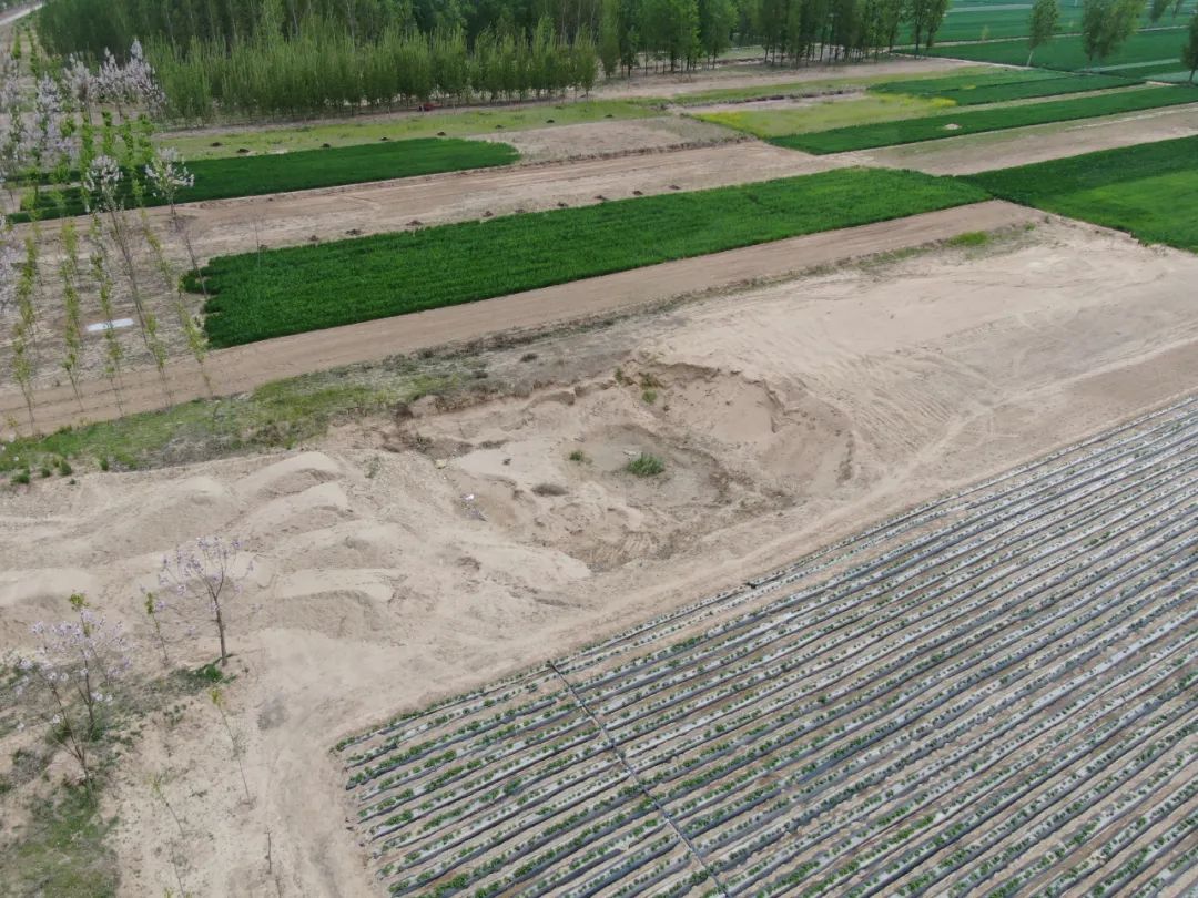 东岗头村盗采土沙后留下的盗坑（航拍图）