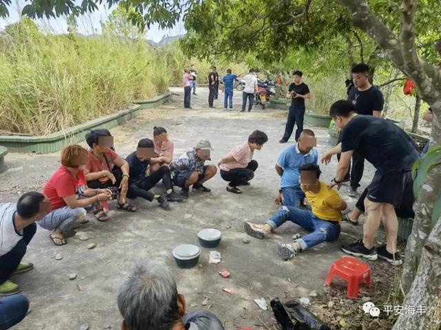海丰公安捣毁一野外赌博窝点|平安|海丰|梅陇镇_新浪新闻