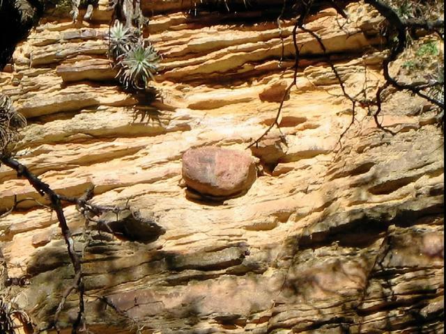 晚古生代大冰期的冰碛岩照片.