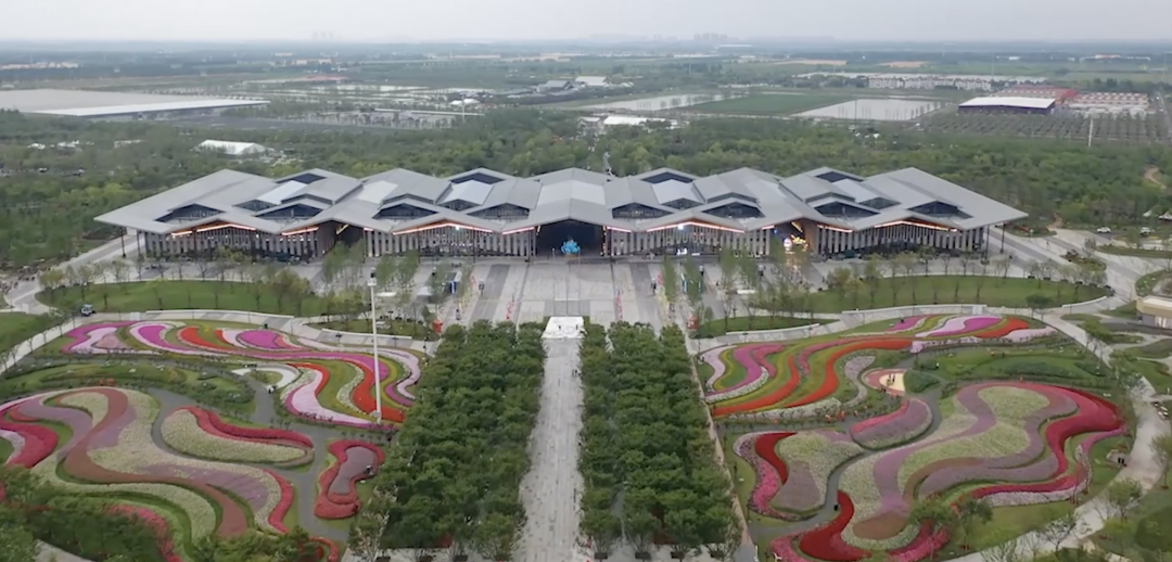 100岁的一树牡丹朵朵下垂的宝莲灯你见过吗花博会复兴馆先睹为快宝岛