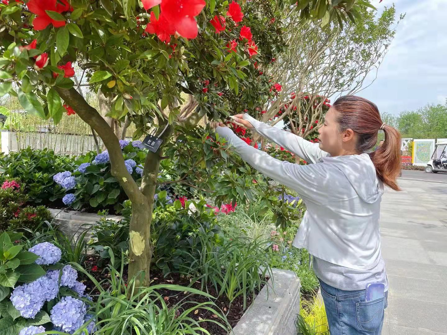 花博匠心她爱美但更喜欢和泥土打交道70后女园艺师把500种珍奇花卉