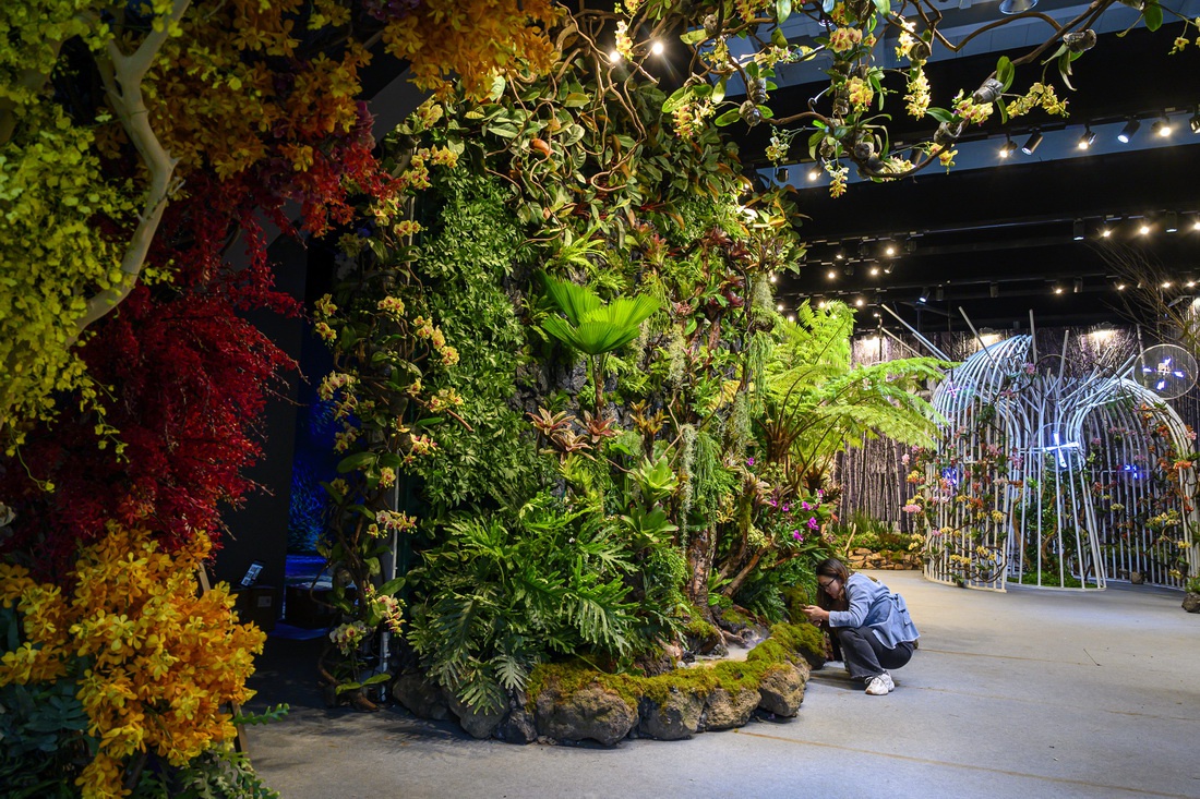 花博会探营|"大蝴蝶"展翅百花开,与梦花园来一次美丽邂逅|上海市_新浪