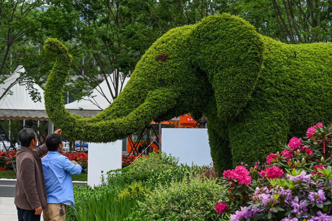 花博会探营大蝴蝶展翅百花开与梦花园来一次美丽邂逅