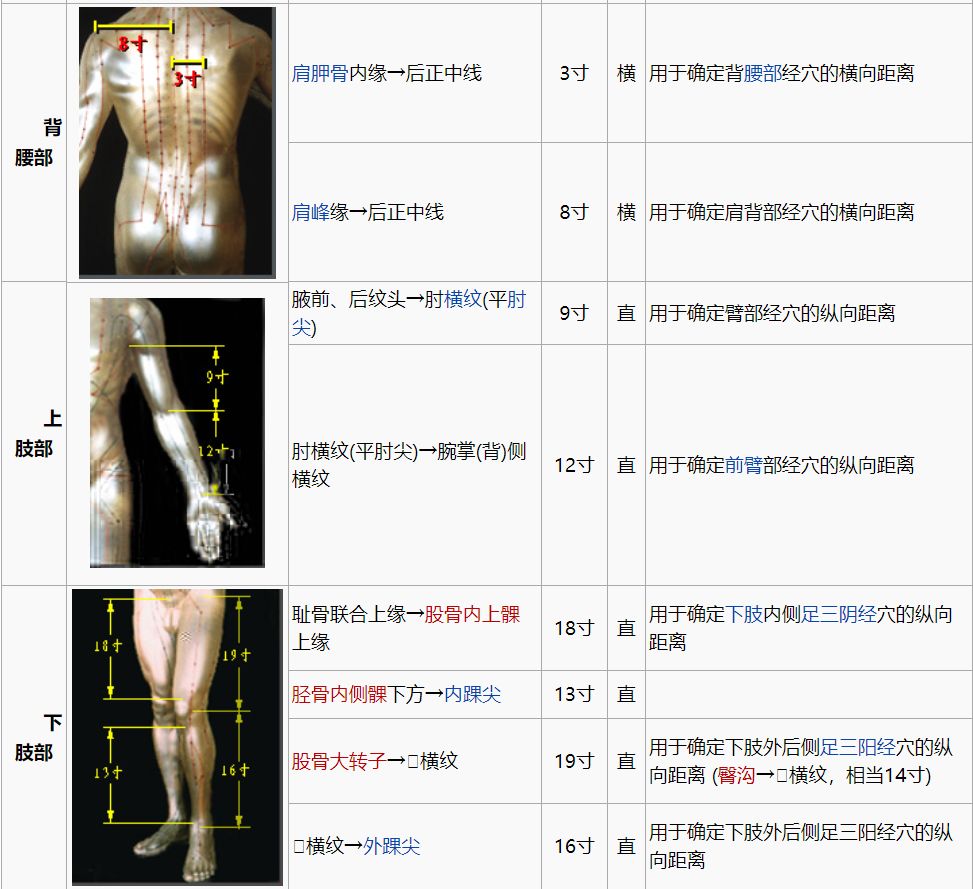 中医经络里所说的“一寸”到底是多长?