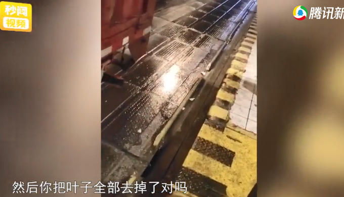 司机拉一车莴笋走绿通，收费员称莴笋没叶子不能免费？评论区吵翻休闲区蓝鸢梦想 - Www.slyday.coM