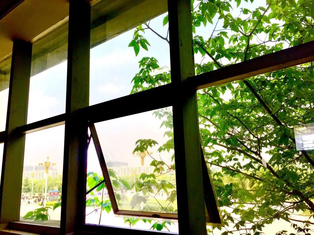 美图预警你知道南窗之外藏着些什么吗