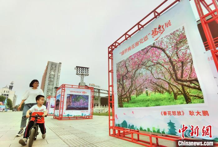 庆祝中国共产党成立100周年“盛世桃花谢党恩”摄影展正在北京市平谷区举行。　马平川 摄