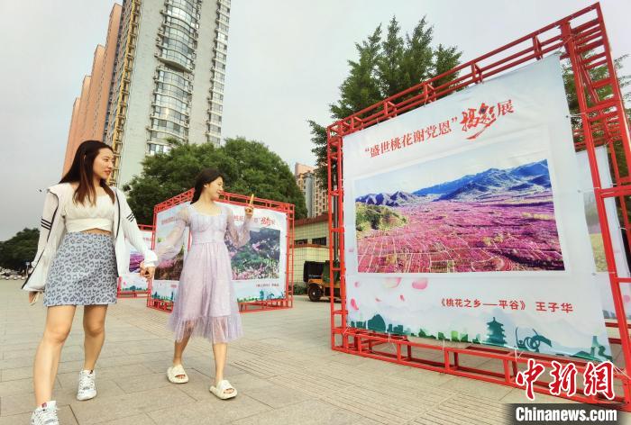 庆祝中国共产党成立100周年“盛世桃花谢党恩”摄影展正在北京市平谷区举行。　马平川 摄