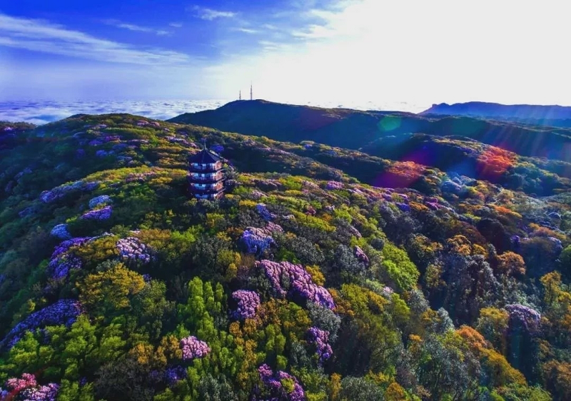 世界遗产名山金佛山峰会期间金佛山免费游
