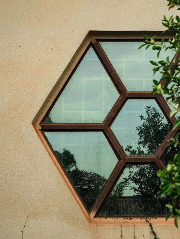 美图预警你知道南窗之外藏着些什么吗