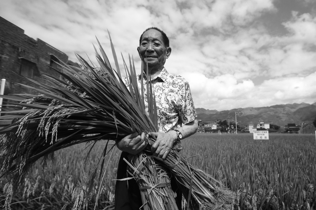 联合国农粮组织总干事发文悼念袁隆平万家食粮中国粮