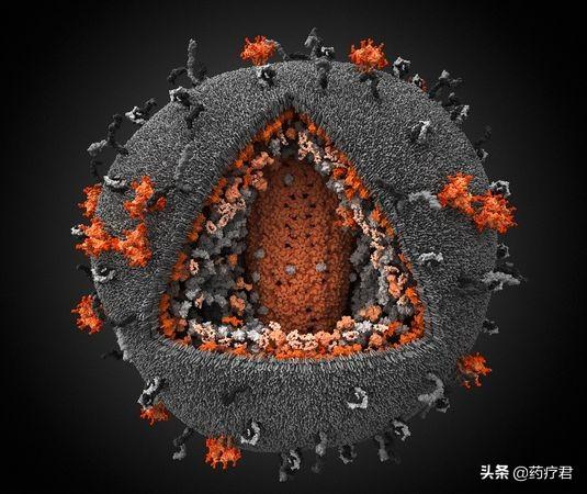 世界上还有比艾滋病病毒更可怕的病毒吗涨知识了