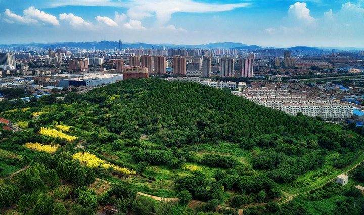 济南市天桥区城市区域品牌形象解读天桥记忆不止回味