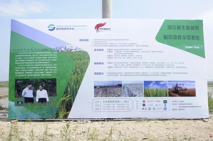 痛悼！袁隆平辞世！他和温州的这个约定再也无法兑现了休闲区蓝鸢梦想 - Www.slyday.coM