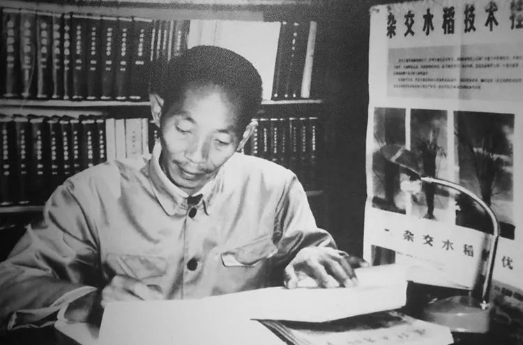 袁隆平:“我毕生的追求就是让所有人远离饥饿”_新浪财经_新浪网